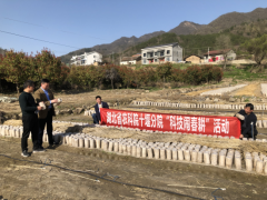 湖北房縣：十堰市農(nóng)科院院長周華平前往房縣考察食用菌種植情況 ()