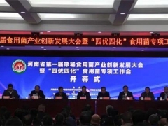 產(chǎn)業(yè)發(fā)展新格局 河南省第一屆珍稀食用菌產(chǎn)業(yè)創(chuàng)新發(fā)展大會在寶豐召開 ()
