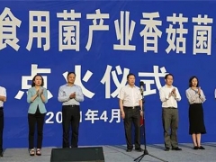 晴隆縣晴秦食用菌農(nóng)銀企產(chǎn)業(yè)共同體創(chuàng)新試點項目一期竣工點火 ()