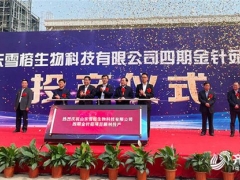 山東雪榕：總投資3億元金針菇項目投產(chǎn) 日產(chǎn)鮮菇400噸！ ()