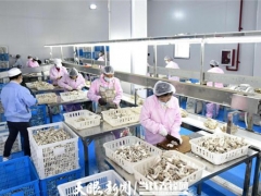 貴州省食用菌產(chǎn)業(yè)發(fā)展目標(biāo)增長10%以上 ()