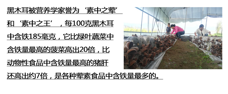 未標題-4