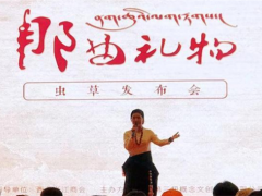 “那曲禮物”蟲(chóng)草發(fā)布會(huì)在拉薩舉行 ()