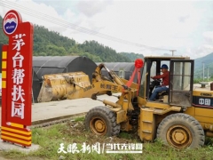 捐贈(zèng)100萬(wàn)元擴(kuò)建10個(gè)食用菌大棚！道真這個(gè)茅臺(tái)幫扶園多了四川經(jīng)銷商的愛(ài)心力量 ()