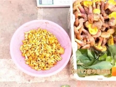 云南：文山又有兩種野生菌上市！價(jià)格驚人！ ()