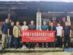 “鄉(xiāng)村振興食用菌科技服務(wù)專(zhuān)家團(tuán)”赴怒江州開(kāi)展科技服務(wù) ()