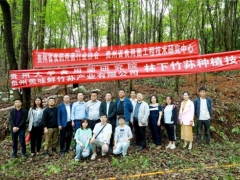 專家助力，貴陽市順海林場岔二巖林下紅托竹蓀種植基地成功開展種植技術(shù)培訓(xùn)會(huì) ()