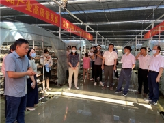 湖北隨縣召開食用菌“515”行動現(xiàn)場觀摩培訓(xùn)會 ()
