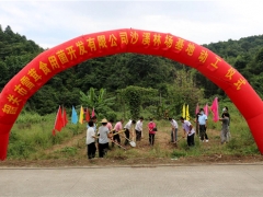 韶關(guān)：投資2000萬雪茸食用菌基地在曲江沙溪鎮(zhèn)動工 ()