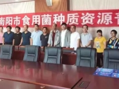 南陽(yáng)全面展開大宗野生菌類種質(zhì)資源普查 ()