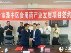 投資5億元！西寧市湟中區(qū)食用菌產(chǎn)業(yè)迎來提檔升級(jí) ()