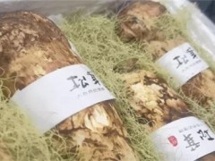 借道成都 蟲草出口激增29倍，松茸2.5倍 ()