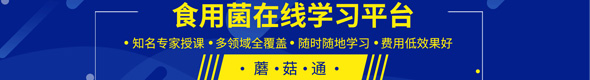 蘑菇世界，探無(wú)止境