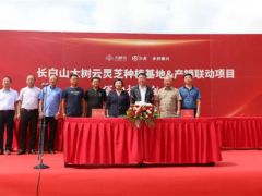 吉林磐石：取柴河鎮(zhèn)舉行長白山大樹云靈芝種植基地產銷聯動項目簽約揭牌儀式 ()