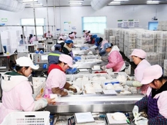 貴州大方：日產量達70噸，產值達60余萬元！工廠化種植食用菌助農增收 ()