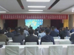甘肅省天?？h開展食用菌實用技術(shù)專題培訓(xùn) ()