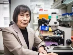 中國科學院院士、中科院微生物研究所研究員莊文穎：為認識真菌付出畢生努力 ()
