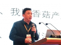 邊銀丙：香菇產(chǎn)業(yè)“三駕馬車”失去動力 如何化險為夷？ ()