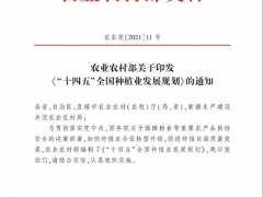 農(nóng)業(yè)部發(fā)布《“十四五”全國種植業(yè)發(fā)展規(guī)劃》 2025年力爭食用菌總產(chǎn)量4000萬噸 ()