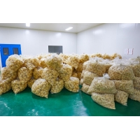 無公害銀耳常年供應(yīng)，干銀耳，銀耳鮮燉，銀耳花，雪菲寵耳