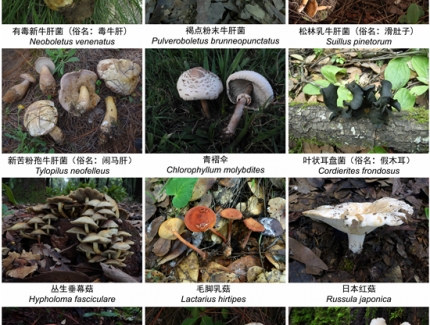 一年2000多人中毒，云南省衛(wèi)健委緊急預警！ ()