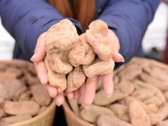 靈芝、天麻陸續(xù)解鎖“藥食同源” 對(duì)未來(lái)影響幾何？ ()