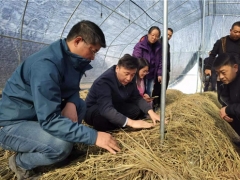 華中農(nóng)業(yè)大學邊銀丙教授赴仙桃、宜昌等地開展“鄉(xiāng)村振興荊楚行”工作 ()