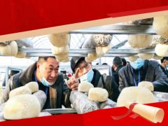祝賀！“隨縣香菇種植工”上榜湖北省十大勞務(wù)品牌 ()