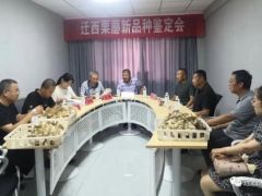 遷西縣舉行栗蘑新品種鑒定會 ()