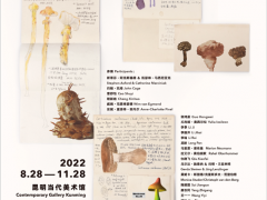 “蘑菇之語：萬物互聯(lián)的網(wǎng)絡(luò)”在昆明當代美術(shù)館舉辦 ()