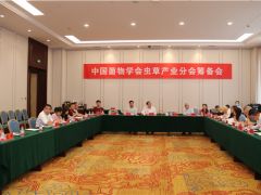 中國菌物學會蟲草產(chǎn)業(yè)分會籌備會議在江蘇南通舉行 ()
