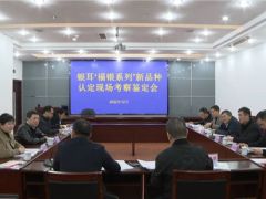 古田：加快新品種產(chǎn)業(yè)化開發(fā) 滿足銀耳市場(chǎng)生產(chǎn)需求 ()