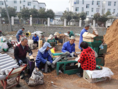 河南南陽：小香菇種出大希望 ()