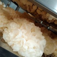 國(guó)家有機(jī)認(rèn)證  雪菲寵耳干銀耳  無(wú)公害無(wú)本色
