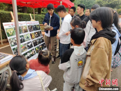 識(shí)毒菌、采種子、逛溫室 民眾暢享中科院昆明植物研究所科普大餐 ()