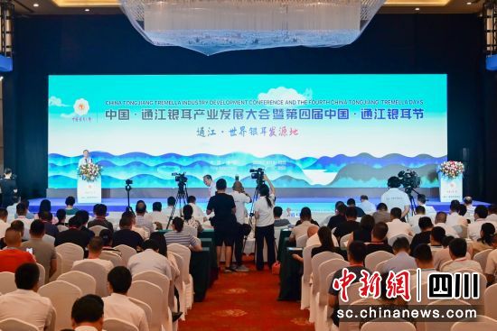 圖為大會開幕式現(xiàn)場。李小龍 攝