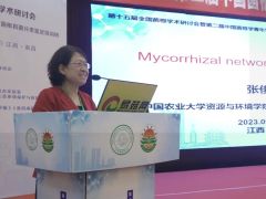 張俊伶:菌根共生體共生共棲,天作之合