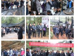 行業(yè)反響熱烈！第五期全國羊肚菌標(biāo)準(zhǔn)化規(guī)?；N植及風(fēng)險(xiǎn)防控培訓(xùn)班在云南玉溪舉行