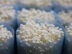 “數(shù)字金針菇”來了！海寧這里的農(nóng)民，有望增收1500萬 ()