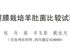 不同覆膜栽培羊肚菌比較試驗(yàn)初報(bào)