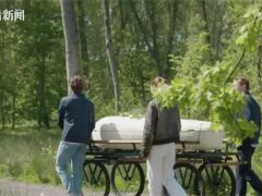 實(shí)現(xiàn)生命循環(huán)！全球首款“蘑菇做的棺材”在英使用