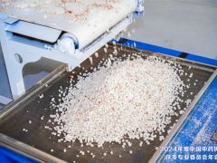夏季健脾胃、除濕氣，茯苓藥膳用起來