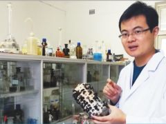 馬銀鵬潛心科研深耕黑木耳產(chǎn)業(yè)
